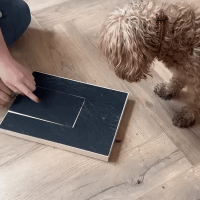 PAWHAUS Dog Nail Scratch Board — Let Your Dog File Their Own Nails