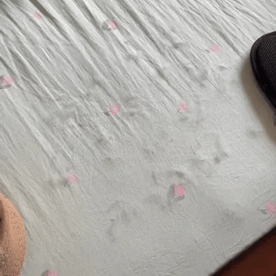 PAWHAUS Fur-Free Pet Gloves™